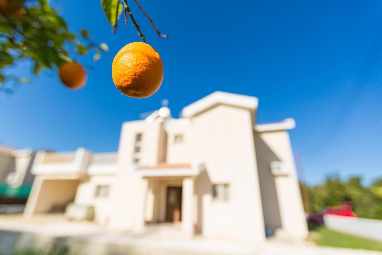 Villa Clementina Kato Yialia Exterior photo